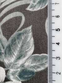 4234 Broadcloth Stylish Relaxation OHI A LEHUA[Textile / Fabric] VANCET Sub Photo
