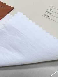 A-8097 60/1 Cotton Linen Typewritter Cloth[Textile / Fabric] ARINOBE Sub Photo