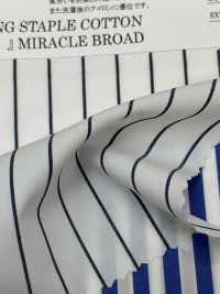 4H4436/3 EXTRA LONG STAPLE COTTON “FOR YOU” MIRACLE BROAD[Textile / Fabric] Kuwamura Fiber Sub Photo