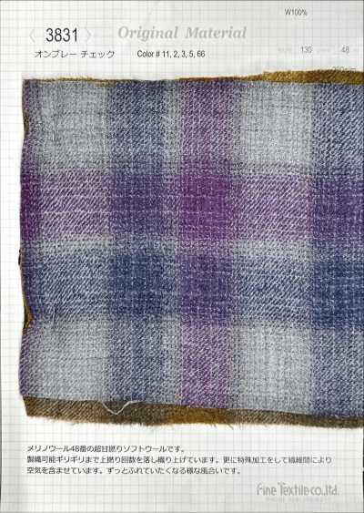 3831 Ombre Check
