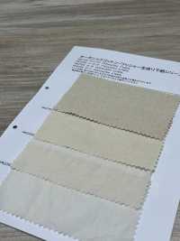 HK2150 Organic Cotton, Washed, Unbleached Canvas[Textile / Fabric] KOYAMA Sub Photo