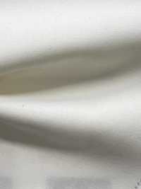 11543 Novania 40 Single- Thread Cotton Double Cloth[Textile / Fabric] SUNWELL Sub Photo