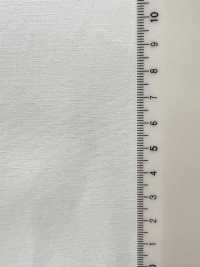 11543 Novania 40 Single- Thread Cotton Double Cloth[Textile / Fabric] SUNWELL Sub Photo
