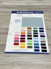 F2600 Flame Retardant Twill (Ernest)[Textile / Fabric] Kumoi Beauty Sub Photo