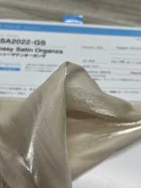 SA2022-GS Glossy Satin Organza[Textile / Fabric] Suncorona Oda Sub Photo