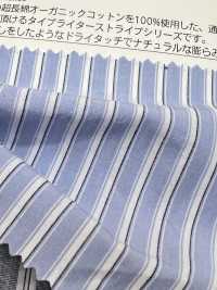 OGN-1005ST Superior Organic Typewritter Cloth Stripes[Textile / Fabric] TIPICO (Kuwamura Textile) Sub Photo