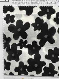 KCP600-DK-509 Cotton 60 Lawn Print[Textile / Fabric] Uni Textile Sub Photo