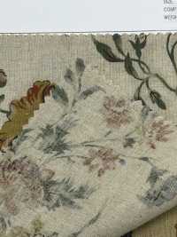 7025-1700-1 CL Loomstate[Textile / Fabric] HOKKOH Sub Photo