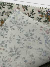 4025-1755-2 [Textile / Fabric] HOKKOH Sub Photo