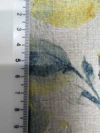 7025-1700-2 CL Loomstate[Textile / Fabric] HOKKOH Sub Photo