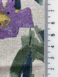 7025-1700-4 CL Loomstate[Textile / Fabric] HOKKOH Sub Photo