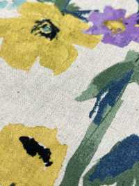 7025-1700-4 CL Loomstate[Textile / Fabric] HOKKOH Sub Photo