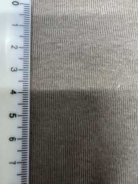 11730 20/1 Circular Rib[Textile / Fabric] SUNWELL Sub Photo