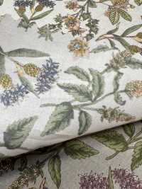 7025-1600-4 80 Lawn 240 Botanical[Textile / Fabric] HOKKOH Sub Photo