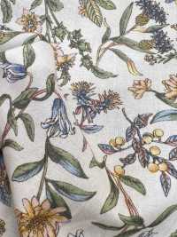 7025-1600-4 80 Lawn 240 Botanical[Textile / Fabric] HOKKOH Sub Photo