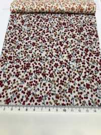 7025-1610-1 60 Lawn Fruit Pattern[Textile / Fabric] HOKKOH Sub Photo