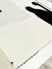 AP52101 Kuroneko Oxford(Round Roll)[Textile / Fabric] COSMO TEXTILE Sub Photo