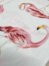 4235 SEVENBERRY® Broadcloth Stylish Relax Flamingo[Textile / Fabric] VANCET Sub Photo