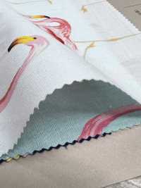 4235 SEVENBERRY® Broadcloth Stylish Relax Flamingo[Textile / Fabric] VANCET Sub Photo