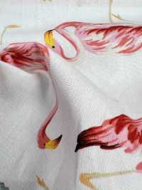 4235 SEVENBERRY® Broadcloth Stylish Relax Flamingo[Textile / Fabric] VANCET Sub Photo