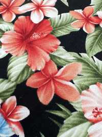 4236 SEVENBERRY® Broadcloth Stylish Relax Hibiscus[Textile / Fabric] VANCET Sub Photo