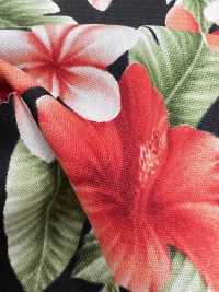 4236 SEVENBERRY® Broadcloth Stylish Relax Hibiscus[Textile / Fabric] VANCET Sub Photo