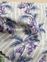 850505 SEVENBERRY® Lawn Soleil Berry Stripe[Textile / Fabric] VANCET Sub Photo