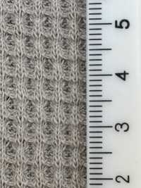 11731 17/1BD Waffle Knit[Textile / Fabric] SUNWELL Sub Photo