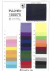 100075 Roughness Surface