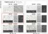 165029 Platinum Jacquard ~Chapter 2~