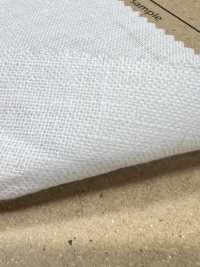 AD5182 Linen Canvas[Textile / Fabric] COSMO TEXTILE Sub Photo
