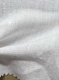 AD5182 Linen Canvas[Textile / Fabric] COSMO TEXTILE Sub Photo