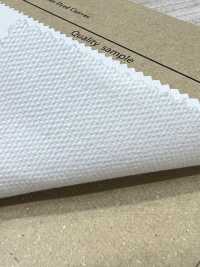 AD8310 No.8 Canvas[Textile / Fabric] COSMO TEXTILE Sub Photo