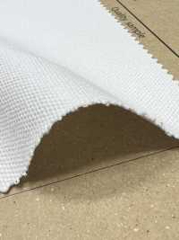 AD8310 No.8 Canvas[Textile / Fabric] COSMO TEXTILE Sub Photo