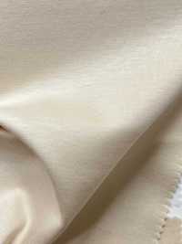 11722 60 Single Thread Cotton Compact Ponte[Textile / Fabric] SUNWELL Sub Photo