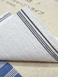BC3543 Voile Stripe[Textile / Fabric] COSMO TEXTILE Sub Photo