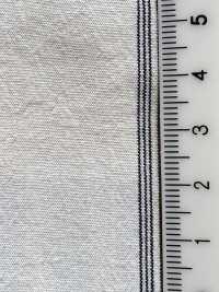 BC3543 Voile Stripe[Textile / Fabric] COSMO TEXTILE Sub Photo