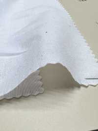 INDIA-484 60/1 Lawn[Textile / Fabric] ARINOBE Sub Photo