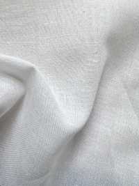 INDIA-484 60/1 Lawn[Textile / Fabric] ARINOBE Sub Photo