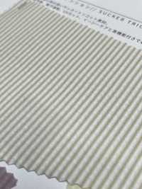 6710 Namiko High Tension[Textile / Fabric] SASAKISELLM Sub Photo