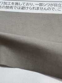 TP006 Grinza CDR[Textile / Fabric] TOPRUN Sub Photo