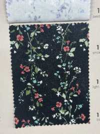 850523 SEVENBERRY® Broadcloth Broad Cotton Antique Di Canon[Textile / Fabric] VANCET Sub Photo