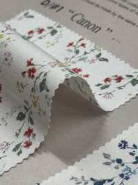850523 SEVENBERRY® Broadcloth Broad Cotton Antique Di Canon[Textile / Fabric] VANCET Sub Photo