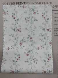 850523 SEVENBERRY® Broadcloth Broad Cotton Antique Di Canon[Textile / Fabric] VANCET Sub Photo