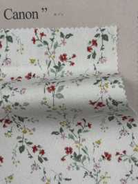 850523 SEVENBERRY® Broadcloth Broad Cotton Antique Di Canon[Textile / Fabric] VANCET Sub Photo