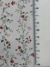 850523 SEVENBERRY® Broadcloth Broad Cotton Antique Di Canon[Textile / Fabric] VANCET Sub Photo