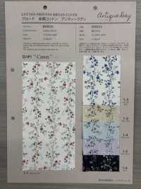 850523 SEVENBERRY® Broadcloth Broad Cotton Antique Di Canon[Textile / Fabric] VANCET Sub Photo