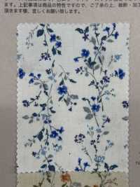 850523 SEVENBERRY® Broadcloth Broad Cotton Antique Di Canon[Textile / Fabric] VANCET Sub Photo
