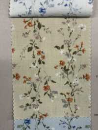 850523 SEVENBERRY® Broadcloth Broad Cotton Antique Di Canon[Textile / Fabric] VANCET Sub Photo