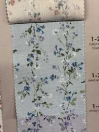 850523 SEVENBERRY® Broadcloth Broad Cotton Antique Di Canon[Textile / Fabric] VANCET Sub Photo